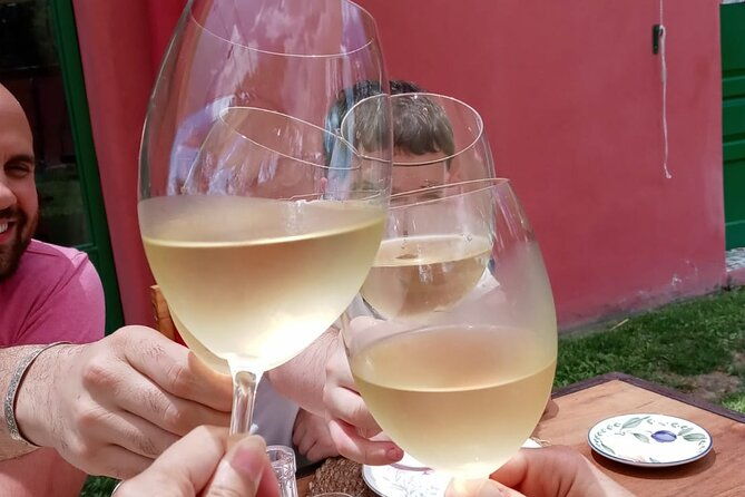small-group-winery-tour-with-lunch-and-experiences