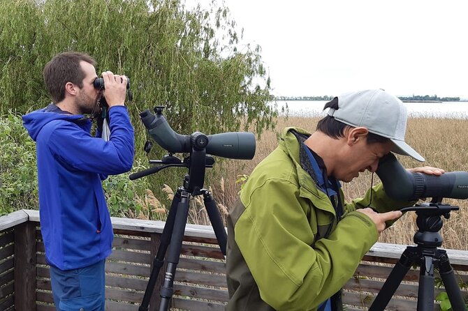 small-groups-birding-at-monteverde-cloud-forest