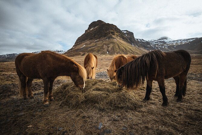 snaefellsnes-peninsula-private-tour-pro-photos-included