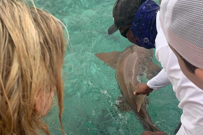 snorkel-holchan-shark-ray-alley-and-caye-caulker-manatee-spotting