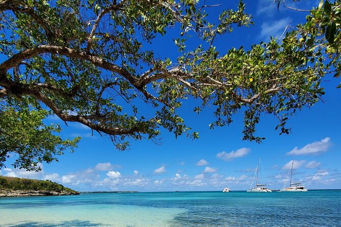 snorkel-lobster-lunch-cruise-to-bird-island-and-paradise-reef