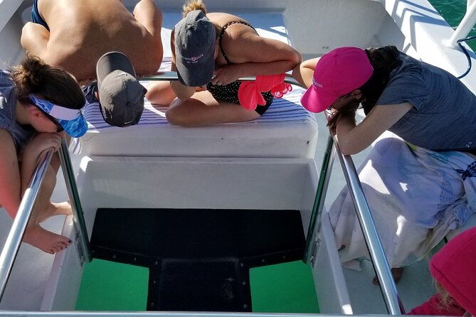 snorkel-sandbar-dolphin-excursion-2