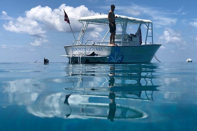 snorkel-sandbar-dolphin-excursion