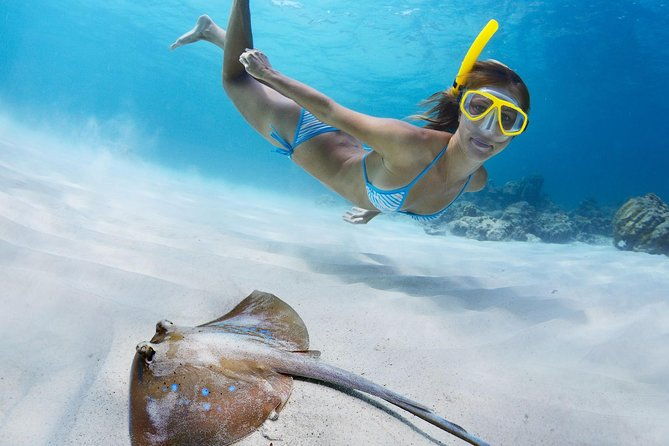 snorkel-swim-with-turtles-semi-private-tour-to-buck-island-honeymoon-beach