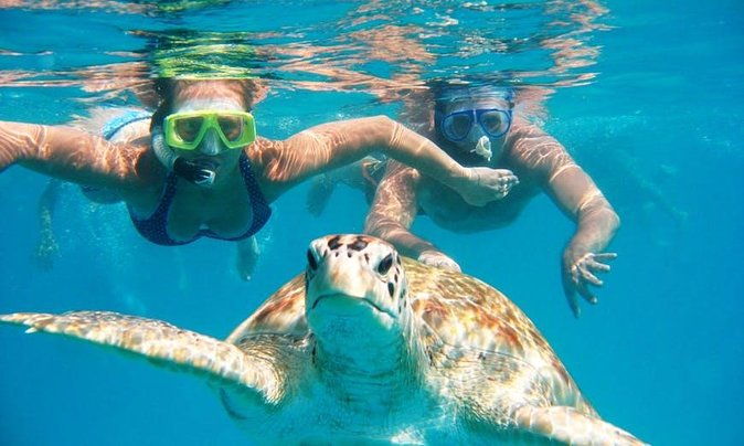 snorkel-tour-in-curacao