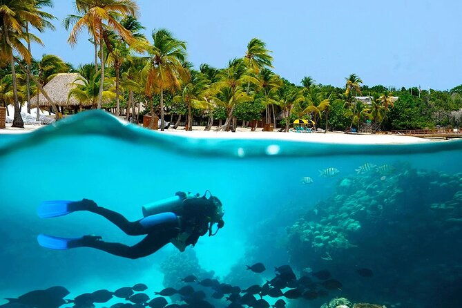 snorkeling-adventure-and-explore-catalina-island-from-punta-cana