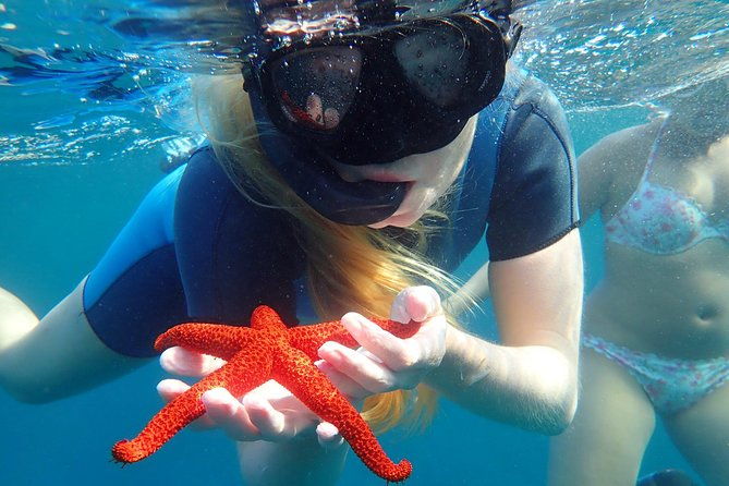 snorkeling-excursion-in-tabarca-island-2