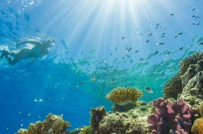 snorkeling-water-private-activity-in-montego-bay-jamaica