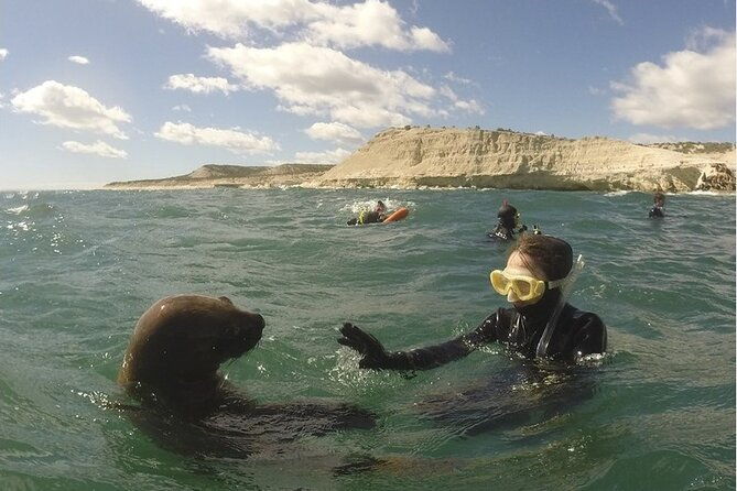 snorkeling-with-sea-lions-and-wildlife-adventure