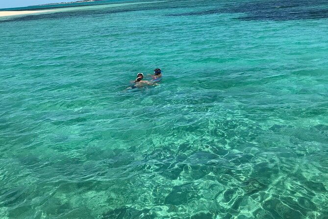 snorkeling-with-the-turtles