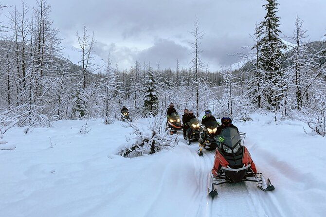 snowmobile-and-snowshoe-dual-adventure-in-kenai-fjords-np