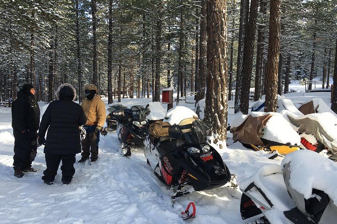 snowmobiling-packages-in-the-sierras-from-reno-nevada