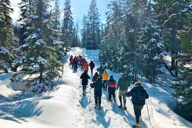 snowshoe-tour-in-winter-wonderland-oslo-2