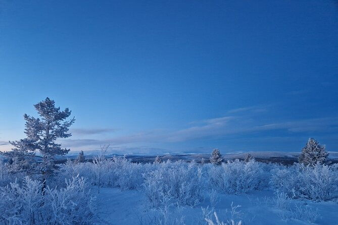 snowshoe-up-a-mountain