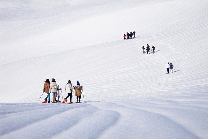 snowshoeing-fun-tour-from-cluj-napoca