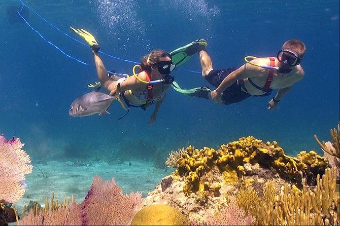 snuba-adventure-at-coral-world-ocean-park