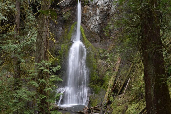 sol-duc-lake-crescent-and-hurricane-ridge-guided-tour-in-olympic-national-park