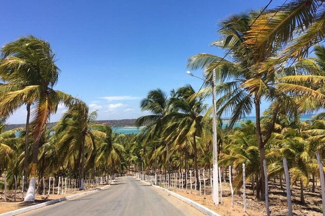 south-coast-french-or-barra-de-sao-miguel-and-gungagte-tours