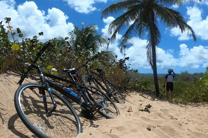 south-east-sunrise-or-later-e-bike-tour
