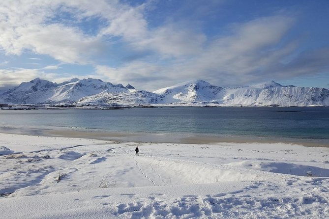 south-lofoten-highlights-photo-tour-hamnoy-reine