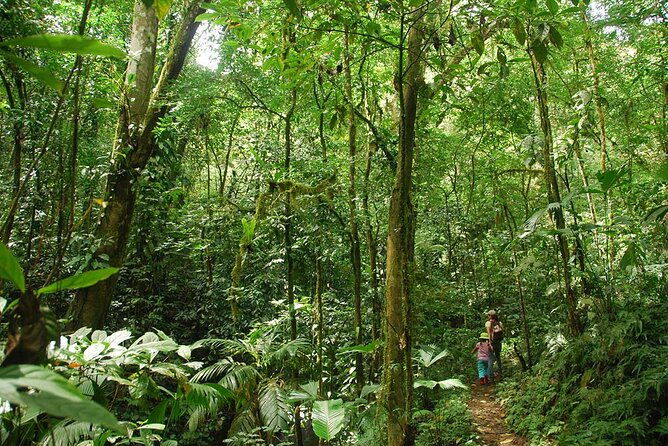 special-private-waterfalls-and-jungle-safari-tour