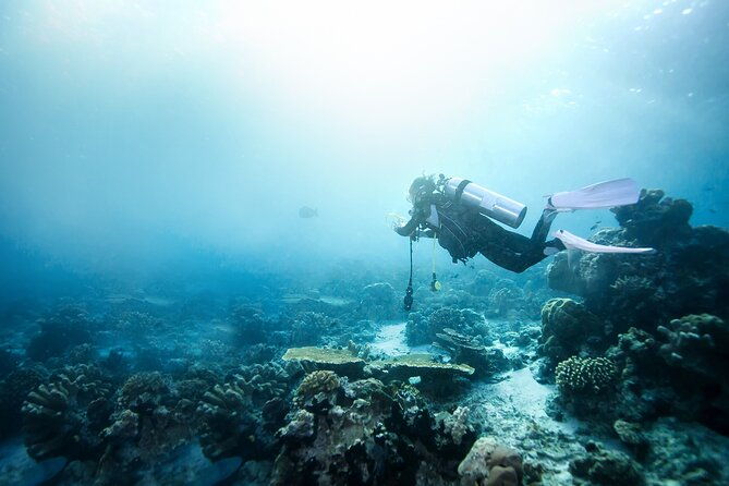 st-kitts-beach-adventure