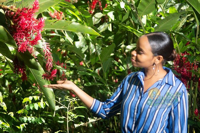 st-lucia-botanical-gardens-and-waterfall-tour-groups-only
