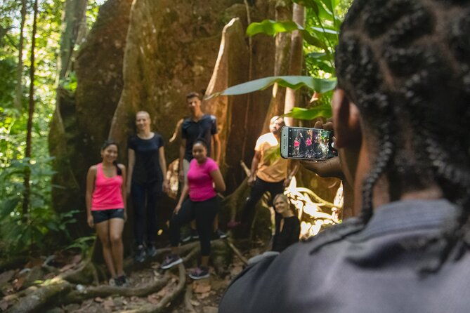 st-lucia-jacquot-trail-hike-at-rainforest-adventures