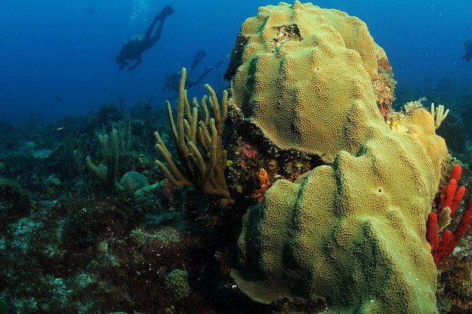 st-maarten-scuba-diving-for-certified-divers