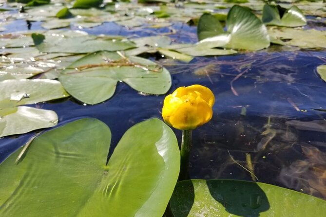 stand-up-paddle-at-skadar-lake-and-hiking-from-valbona-to-theth-in-4-days