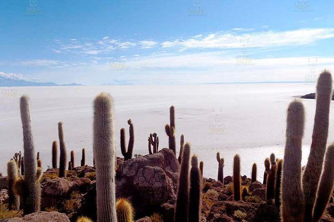 standard-uyuni-salt-flats-3-days-with-spanish-speaking-driver