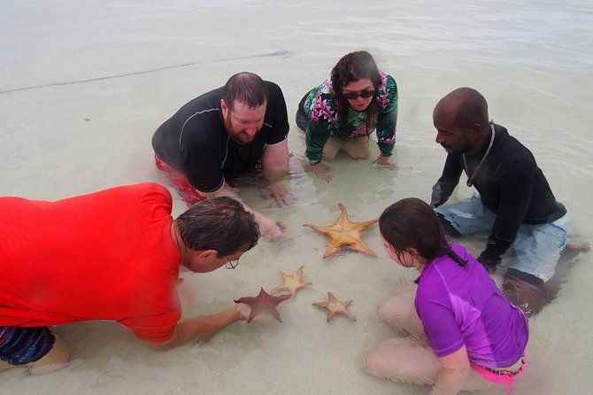 starfish-point-stingray-city-and-coral-garden-adventure
