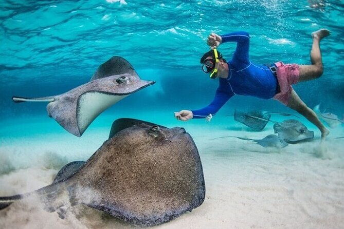 stingray-city-sandbar-coral-gardens-snorkeling-star-fish-point