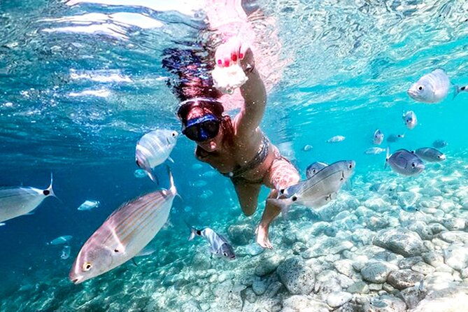 stop-on-island-national-park-day-cruise-with-lunch-drinks