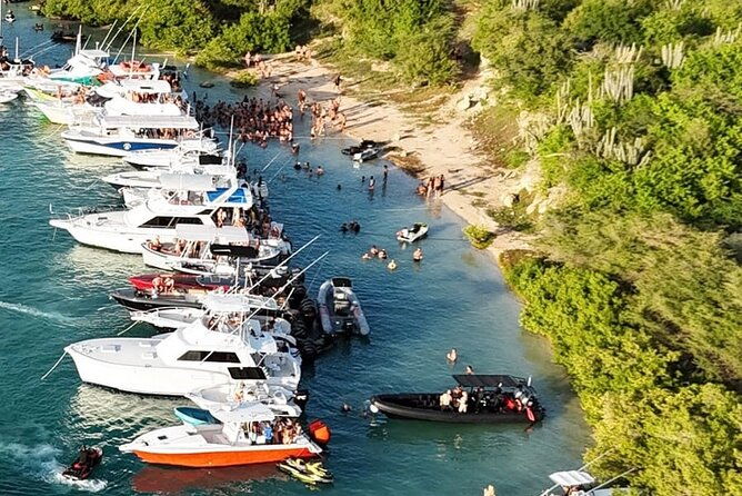 sunday-boat-festival-meet-up-with-djs-open-bar-snacks