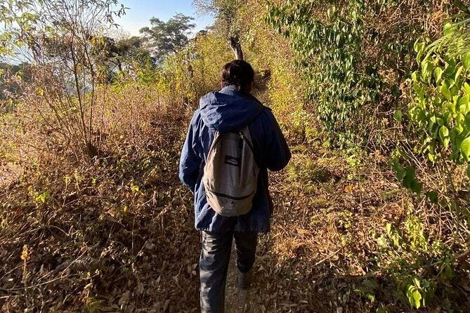 sunrise-and-waterfall-hike-in-santiago-zamora