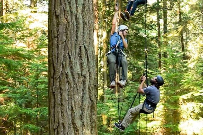 sunset-canopy-climb-on-lopez-island