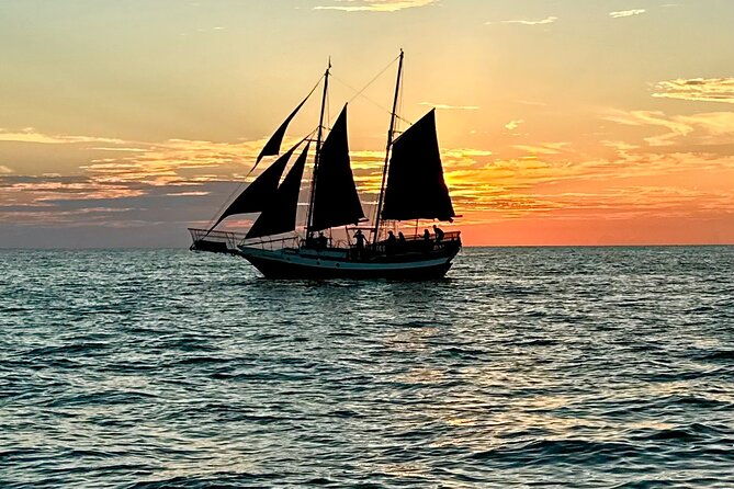 sunset-cruises-dolphin-tours-skyway-bridge-tours-shelling-snorkel-2