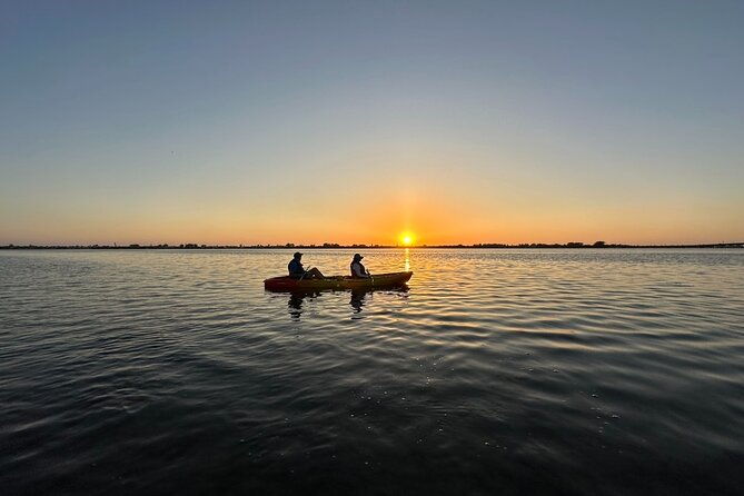 sunset-kayaking-with-dolphins-2