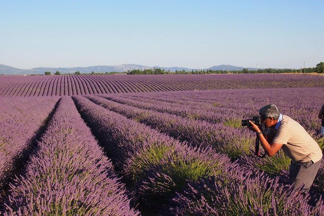 sunset-lavender-tour-in-valensole-with-pickup-from-marseille-2