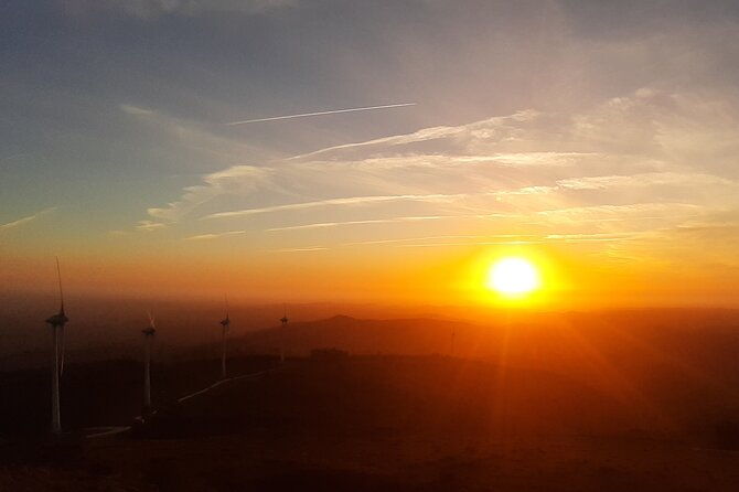 sunset-safari-4h