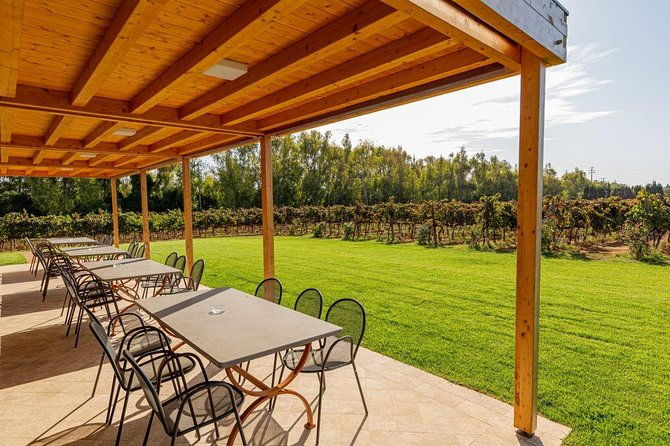 sunset-tour-with-visit-and-guided-tasting-of-5-wines-and-local-products