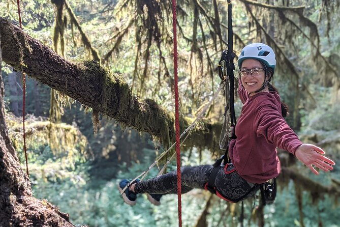 sunset-tree-climb-at-silver-falls-state-park