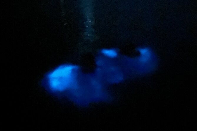 swimming-bioluminiscent-bay-tour-in-la-parguera