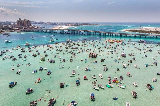 tailfins-destin-tiki-crab-island-dolphin-tour-private-3-hours