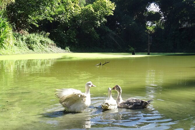 taino-valley-tropical-park-puerto-plata-tubagua