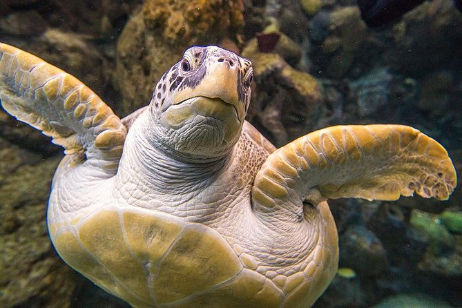 tampas-zooquarium-admission