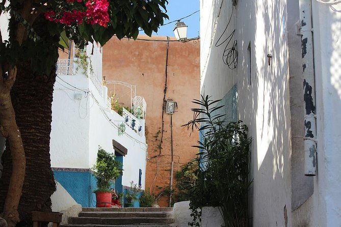 tangier-day-trip-from-seville-with-lunch-included-local-guide