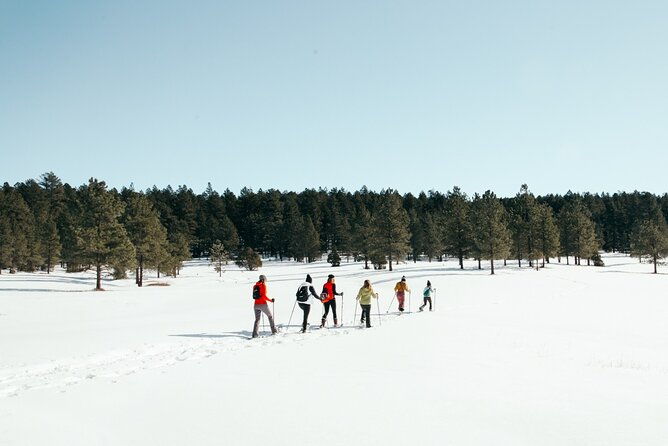 taos-backcountry-snowshoe-tour