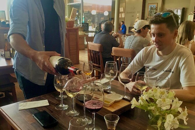 taste-10-types-of-wine-in-3-exceptional-casablancas-vineyards